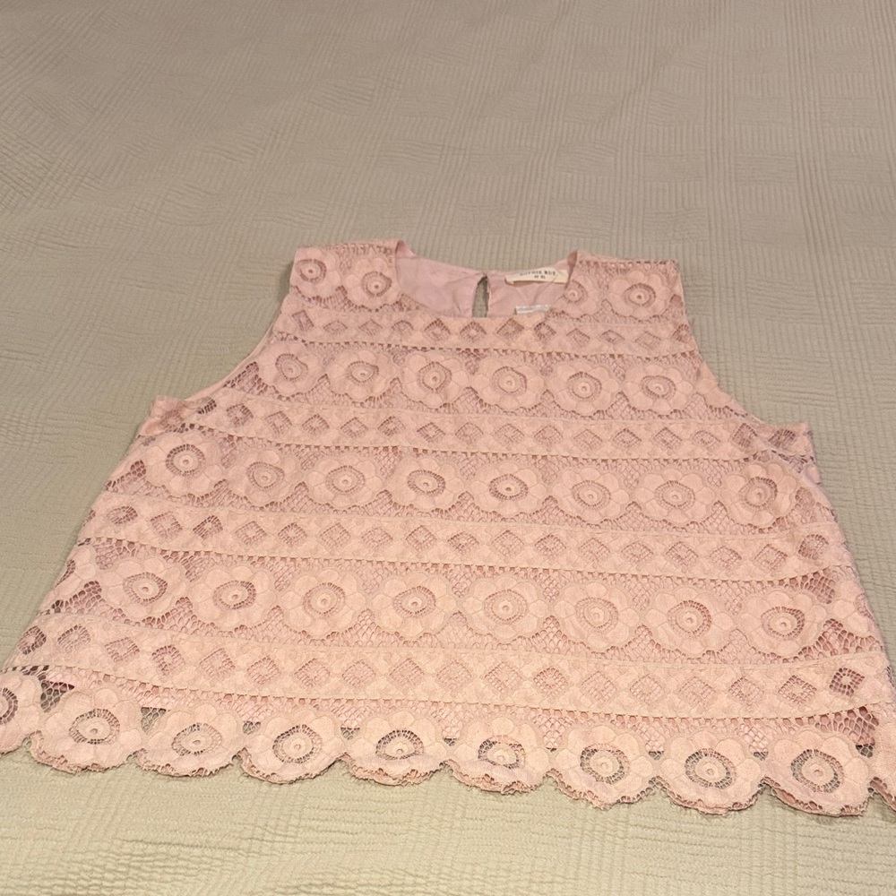 Sophie Rue Blush Lace Sleeveless Blouse